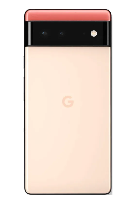 Back of the Google Pixel 6